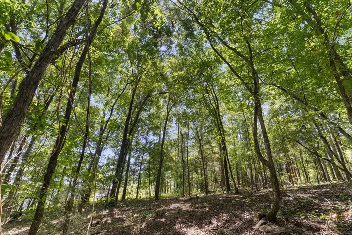 4774 Lee Road 217 N/a, Notasulga, Alabama 36866