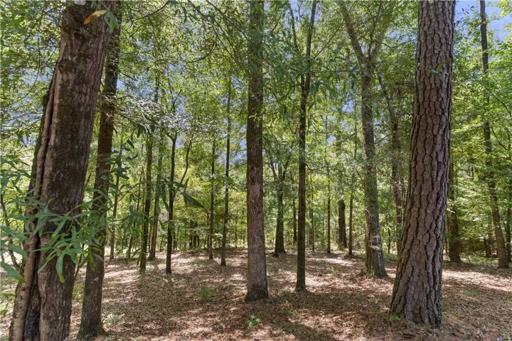 4774 Lee Road 217 N/a, Notasulga, Alabama 36866