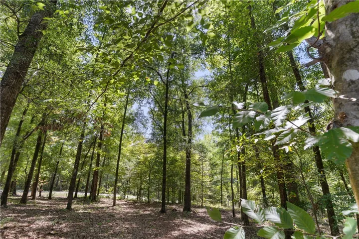 4774 Lee Road 217 N/a, Notasulga, Alabama 36866