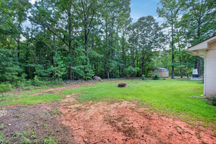 3506 Lee Road 250 N/a, Salem, Alabama 36874