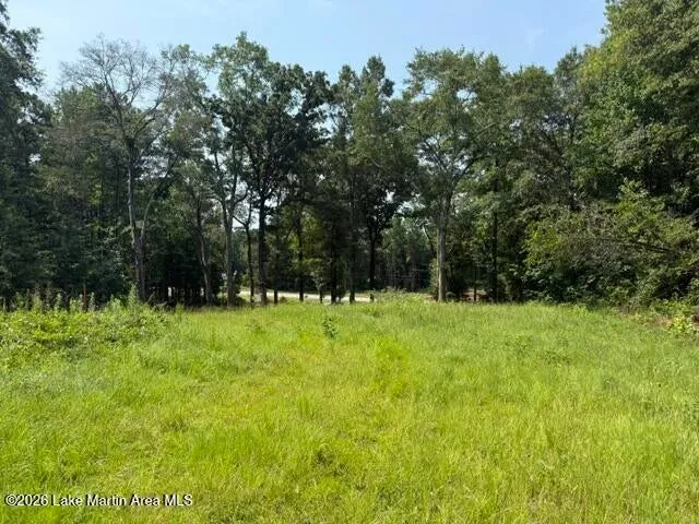 1051 Patrick Street, Waverly, Alabama 36879