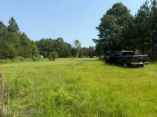 1051 Patrick Street, Waverly, Alabama 36879