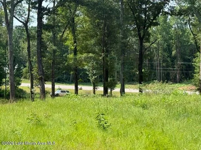 1051 Patrick Street, Waverly, Alabama 36879