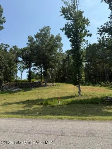 1051 Patrick Street, Waverly, Alabama 36879