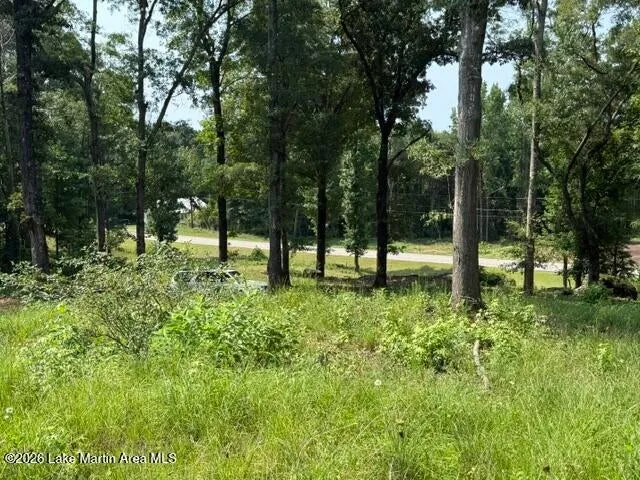 1051 Patrick Street, Waverly, Alabama 36879