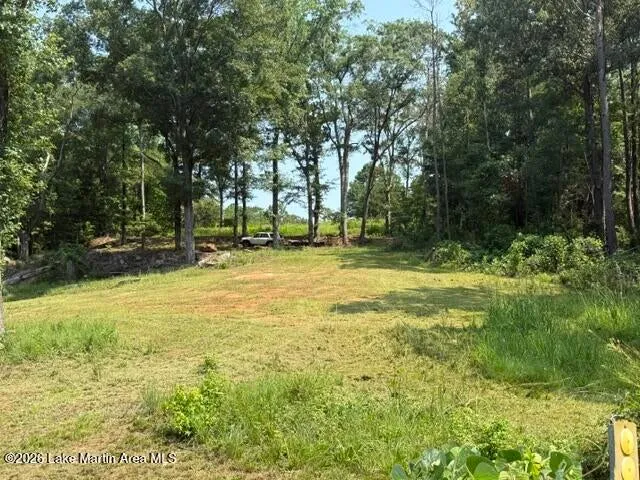 1051 Patrick Street, Waverly, Alabama 36879