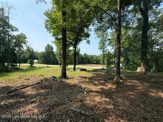 1051 Patrick Street, Waverly, Alabama 36879
