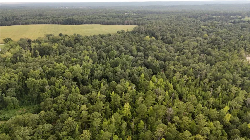 0 County Road 91 N/a, Tuskegee, Alabama 36083