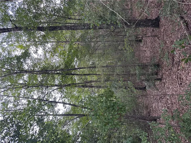 0 County Road 91 N/a, Tuskegee, Alabama 36083