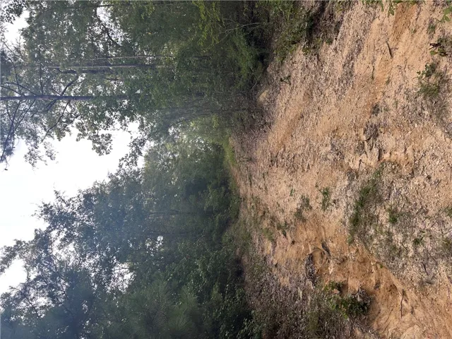 0 County Road 91 N/a, Tuskegee, Alabama 36083