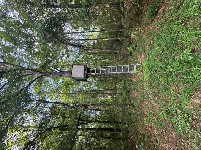 0 County Road 91 N/a, Tuskegee, Alabama 36083