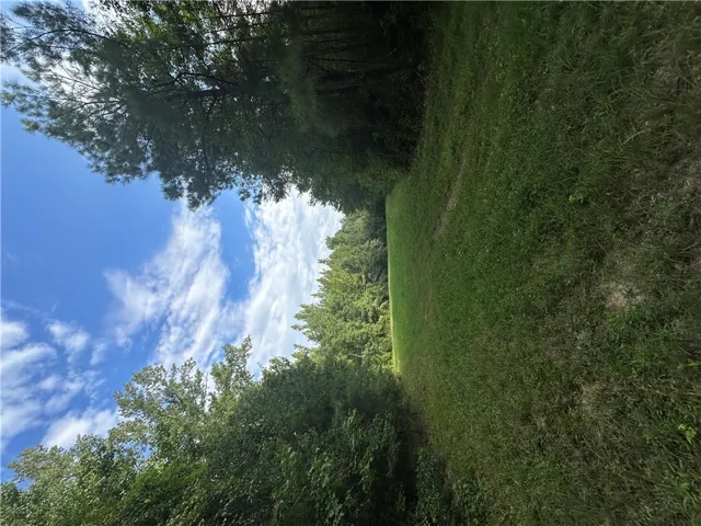 0 County Road 91 N/a, Tuskegee, Alabama 36083
