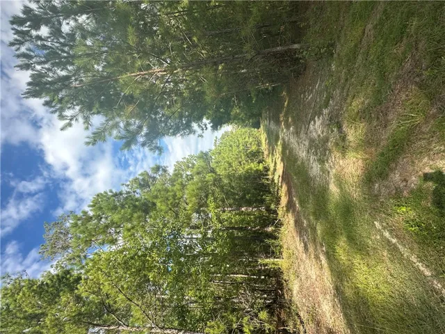 0 County Road 91 N/a, Tuskegee, Alabama 36083