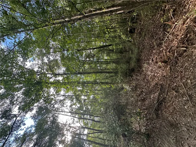 0 County Road 91 N/a, Tuskegee, Alabama 36083