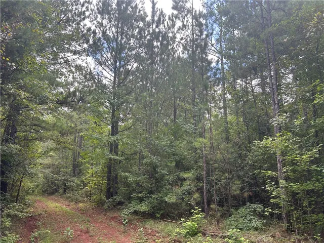 3209 County Road 177 N/a, Cusseta, Alabama 36852