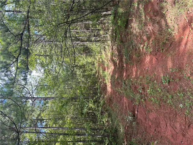 3209 County Road 177 N/a, Cusseta, Alabama 36852