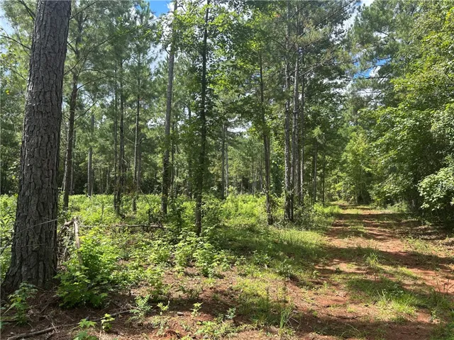 3209 County Road 177 N/a, Cusseta, Alabama 36852