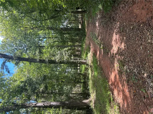 3209 County Road 177 N/a, Cusseta, Alabama 36852