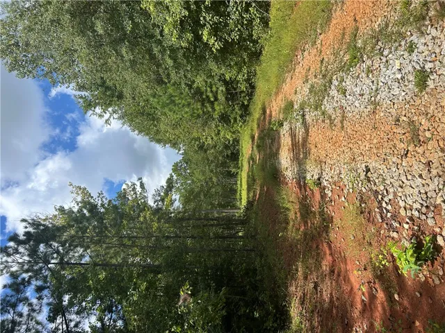 3209 County Road 177 N/a, Cusseta, Alabama 36852