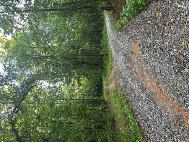 3209 County Road 177 N/a, Cusseta, Alabama 36852