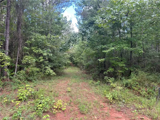 3209 County Road 177 N/a, Cusseta, Alabama 36852