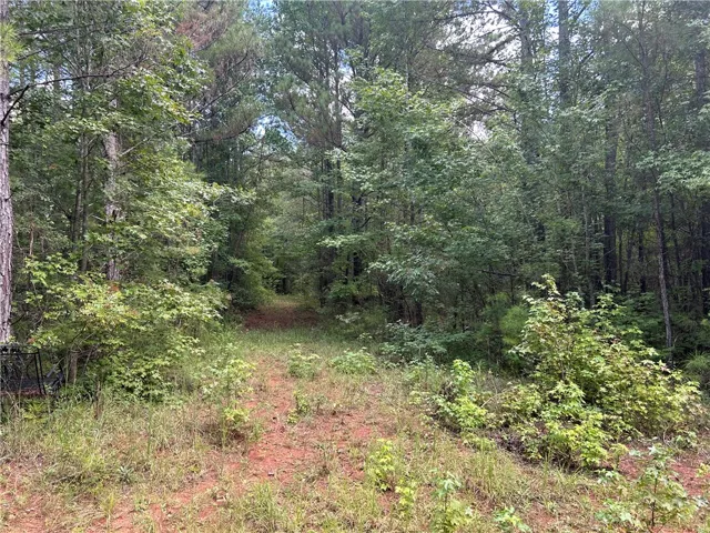 3209 County Road 177 N/a, Cusseta, Alabama 36852
