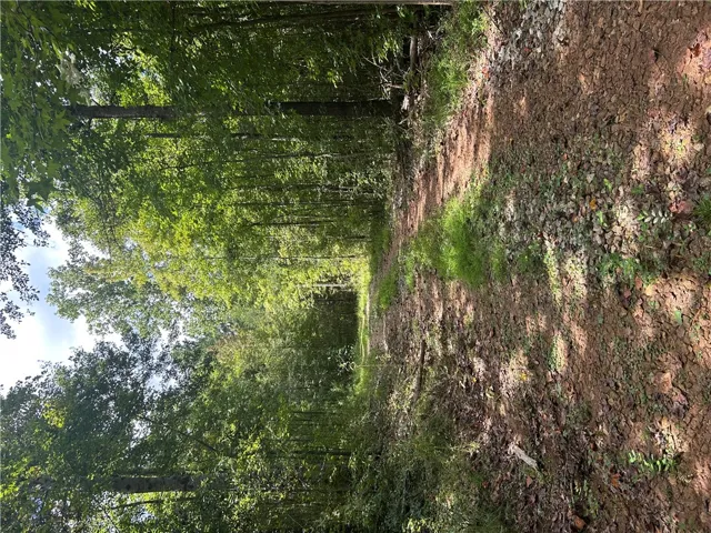 3209 County Road 177 N/a, Cusseta, Alabama 36852