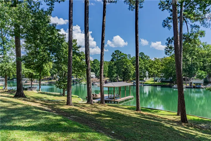210 Shady Lane Road, Eclectic, Alabama 36024