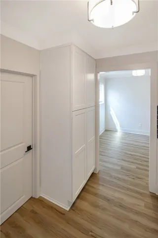 Cabinet Pantry