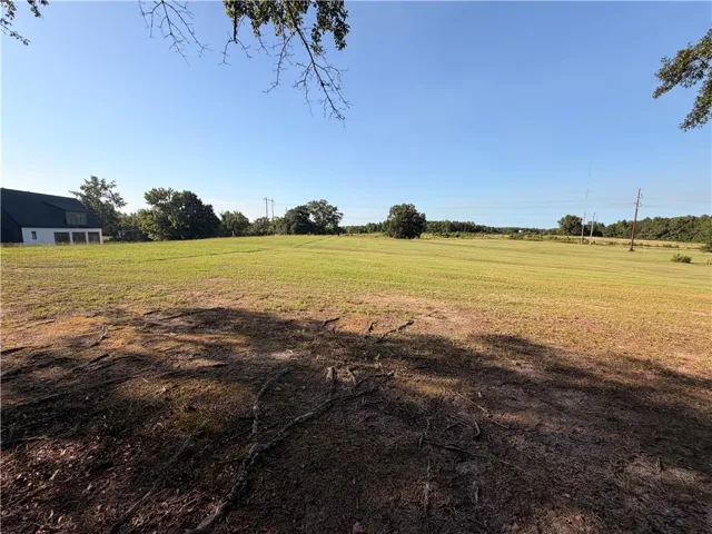 2450 Bud Black Road, Auburn, Alabama 36879