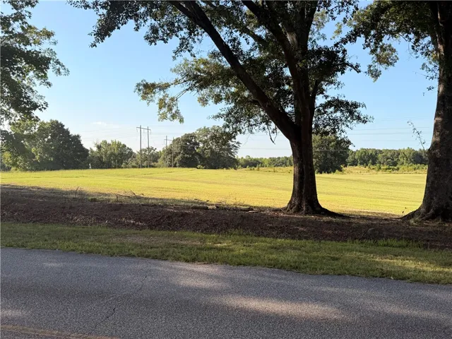 2450 Bud Black Road, Auburn, Alabama 36879