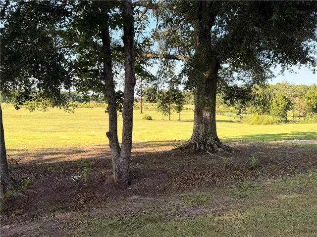 2450 Bud Black Road, Auburn, Alabama 36879