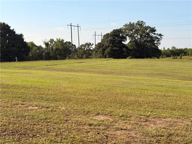 2450 Bud Black Road, Auburn, Alabama 36879