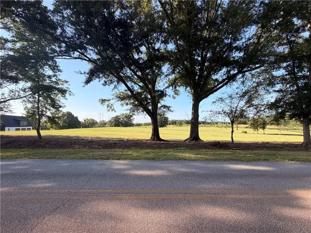 2450 Bud Black Road, Auburn, Alabama 36879