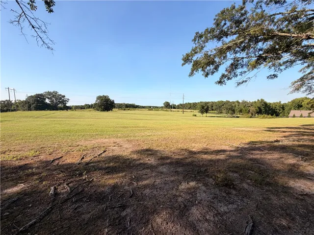 2450 Bud Black Road, Auburn, Alabama 36879