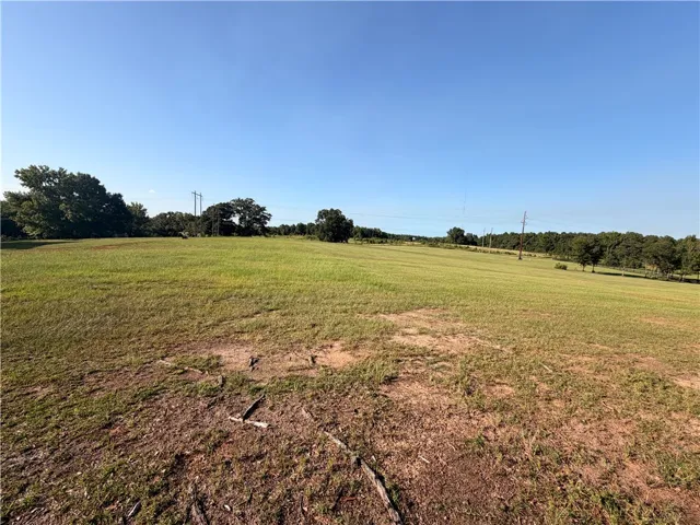 2450 Bud Black Road, Auburn, Alabama 36879