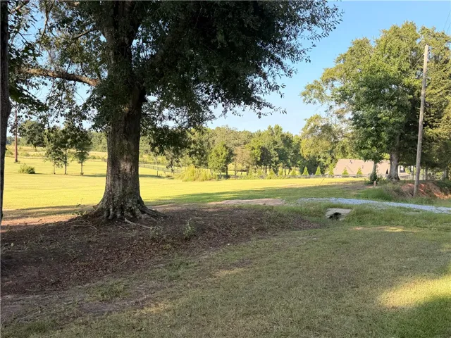 2450 Bud Black Road, Auburn, Alabama 36879