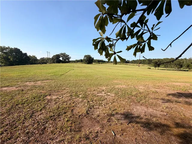 2450 Bud Black Road, Auburn, Alabama 36879