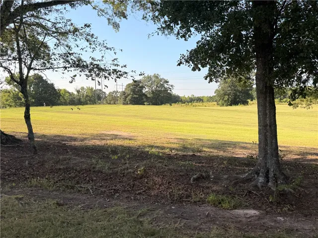 2450 Bud Black Road, Auburn, Alabama 36879