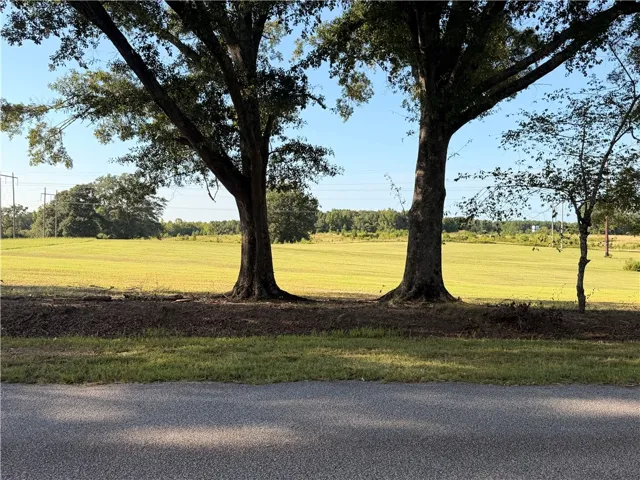 2450 Bud Black Road, Auburn, Alabama 36879