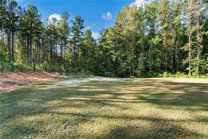 3696 Lee Road 254 N/a, Salem, Alabama 36874