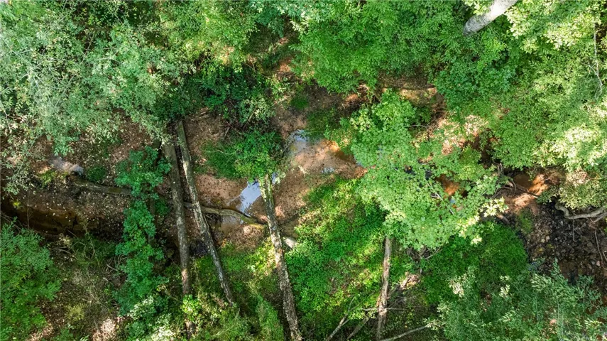 3696 Lee Road 254 N/a, Salem, Alabama 36874