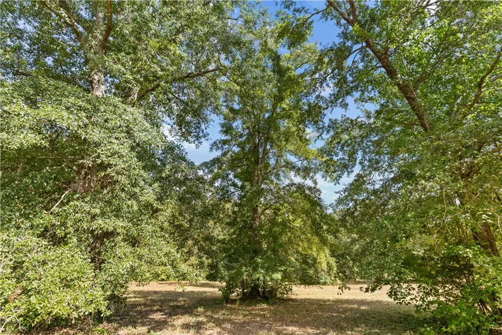 6348 Jackson Road, Waverly, Alabama 36879