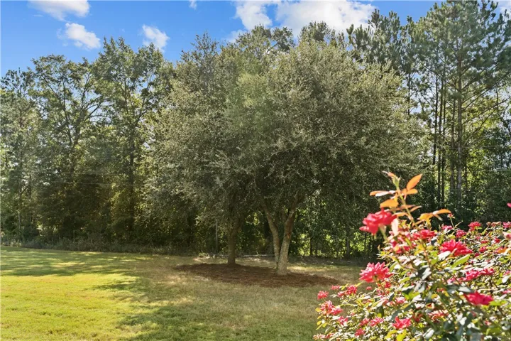 6348 Jackson Road, Waverly, Alabama 36879
