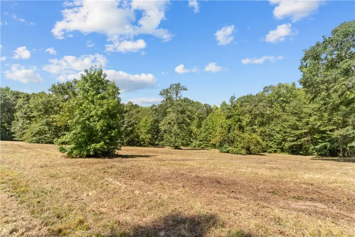6348 Jackson Road, Waverly, Alabama 36879