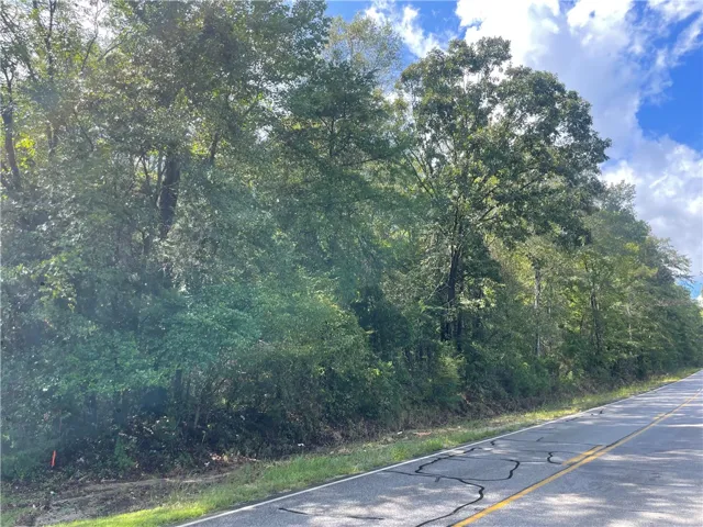 0 Lee Road 112 N/a, Opelika, Alabama 36804