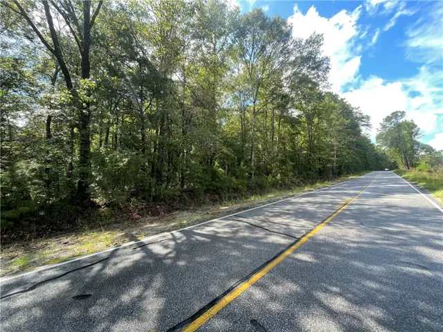 0 Lee Road 112 N/a, Opelika, Alabama 36804