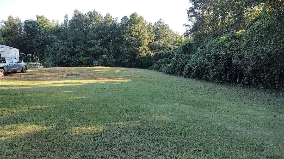 Shot of the backyard