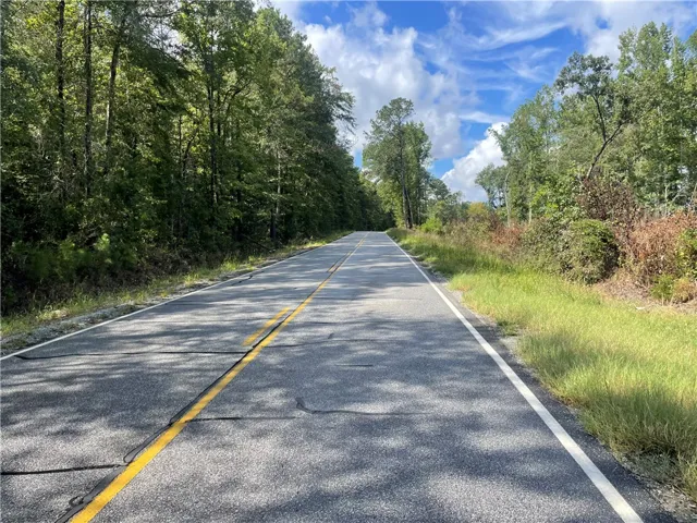 0 Lee Road 112 N/a, Opelika, Alabama 36804