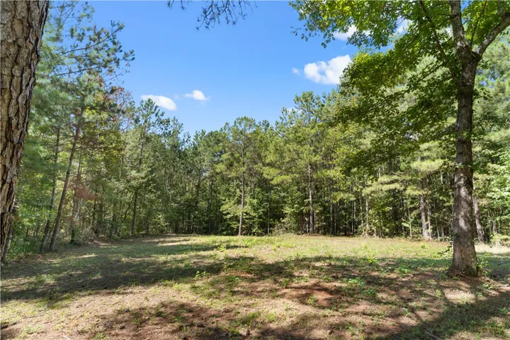 561 Simpson N/a, Daviston, Alabama 36256